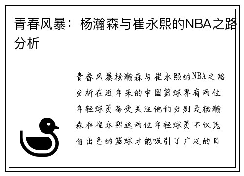 青春风暴：杨瀚森与崔永熙的NBA之路分析