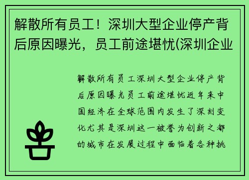 解散所有员工！深圳大型企业停产背后原因曝光，员工前途堪忧(深圳企业停工停产必须程序)