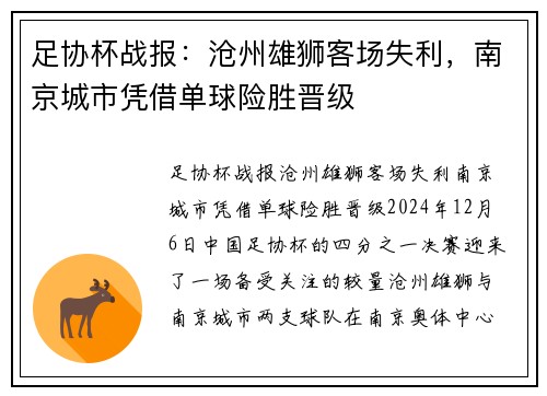 足协杯战报：沧州雄狮客场失利，南京城市凭借单球险胜晋级