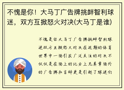 不愧是你！大马丁广告牌挑衅智利球迷，双方互掀怒火对决(大马丁是谁)