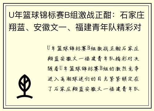 U年篮球锦标赛B组激战正酣：石家庄翔蓝、安徽文一、福建青年队精彩对决