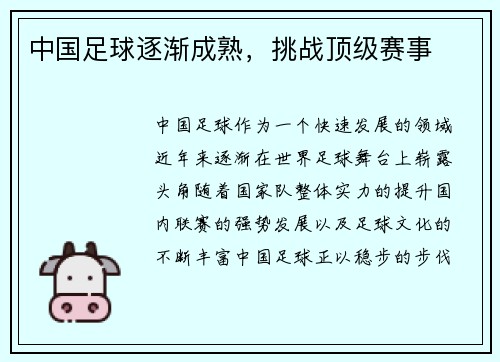 中国足球逐渐成熟，挑战顶级赛事
