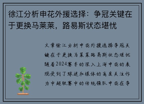 徐江分析申花外援选择：争冠关键在于更换马莱莱，路易斯状态堪忧