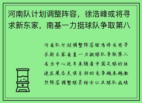 河南队计划调整阵容，徐浩峰或将寻求新东家，南基一力挺球队争取第八名