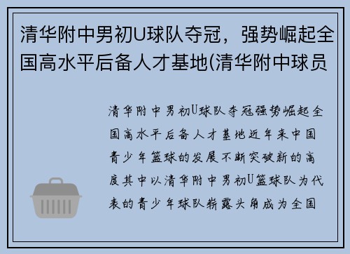 清华附中男初U球队夺冠，强势崛起全国高水平后备人才基地(清华附中球员)